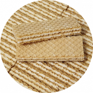 Barquillos de Coco sin azúcar